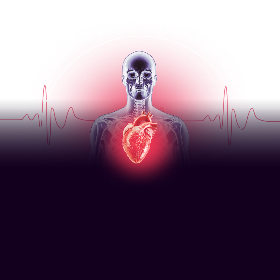 skeleton